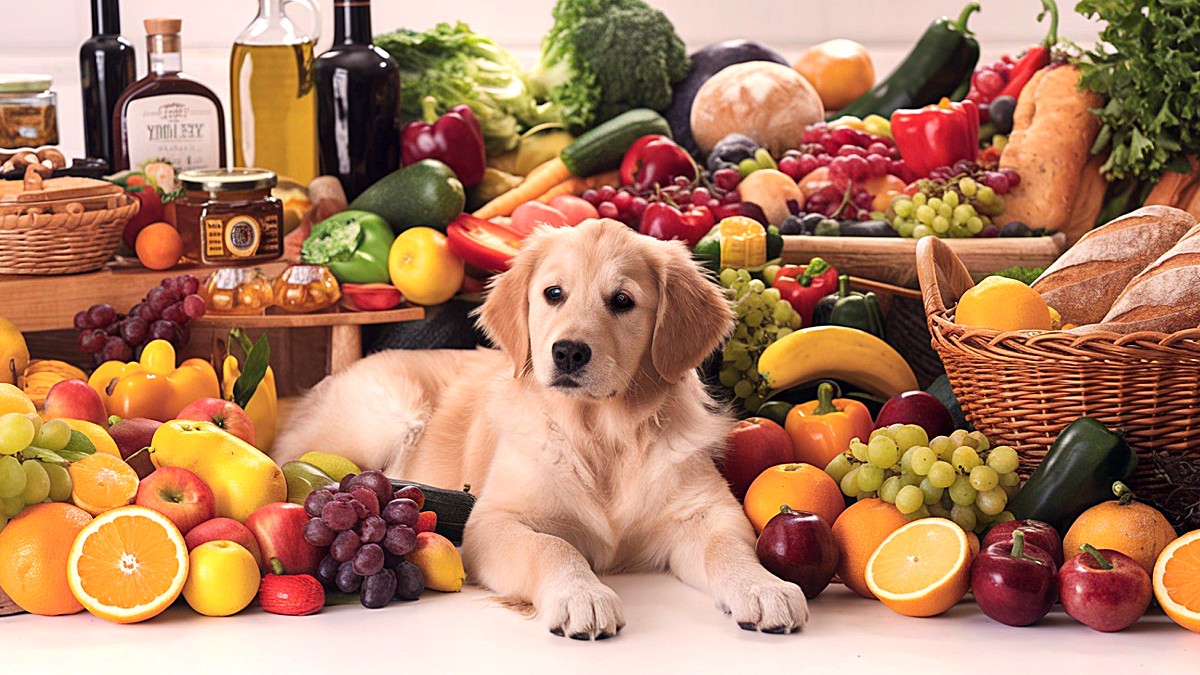 Vitaminas: riesgos asociados a su carencia y exceso